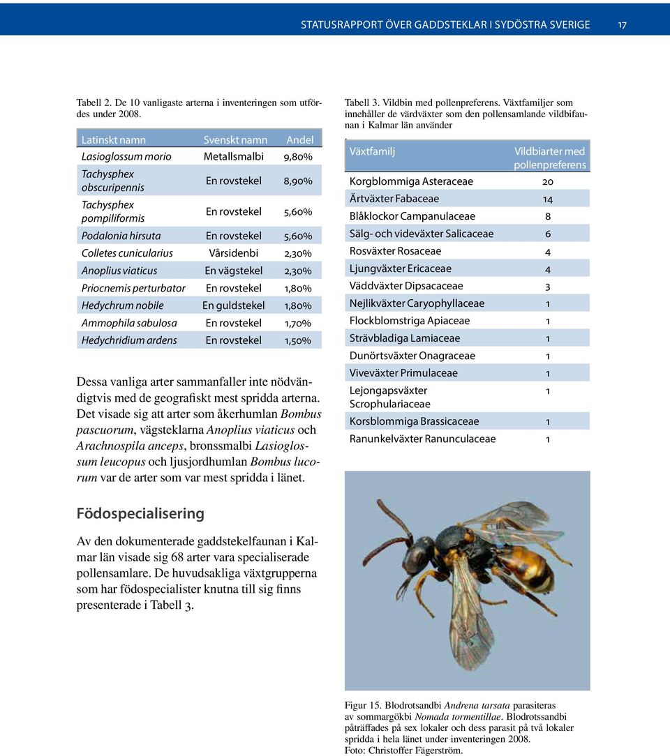 Colletes cunicularius Vårsidenbi 2,30% Anoplius viaticus En vägstekel 2,30% Priocnemis perturbator En rovstekel 1,80% Hedychrum nobile En guldstekel 1,80% Ammophila sabulosa En rovstekel 1,70%