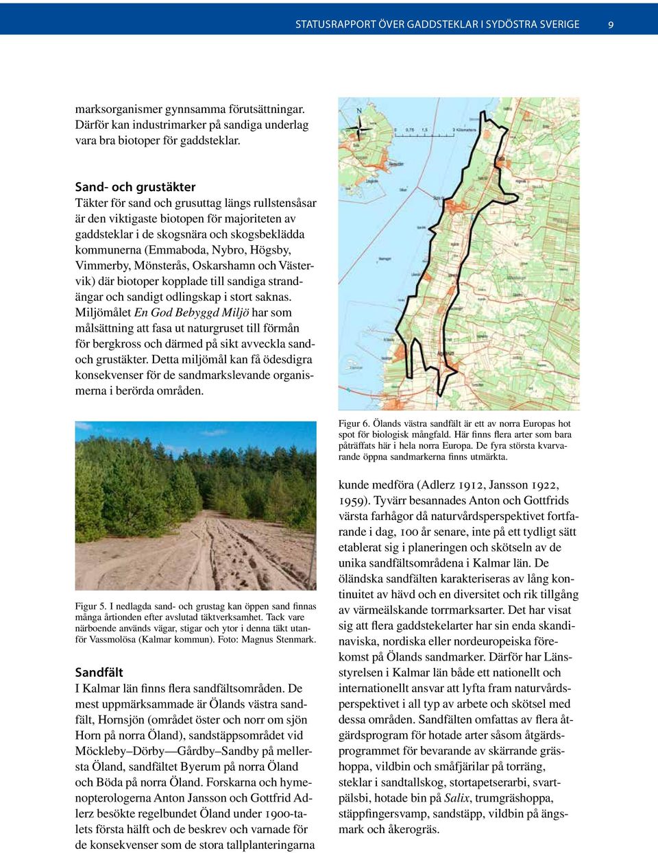 Vimmerby, Mönsterås, Oskarshamn och Västervik) där biotoper kopplade till sandiga strandängar och sandigt odlingskap i stort saknas.