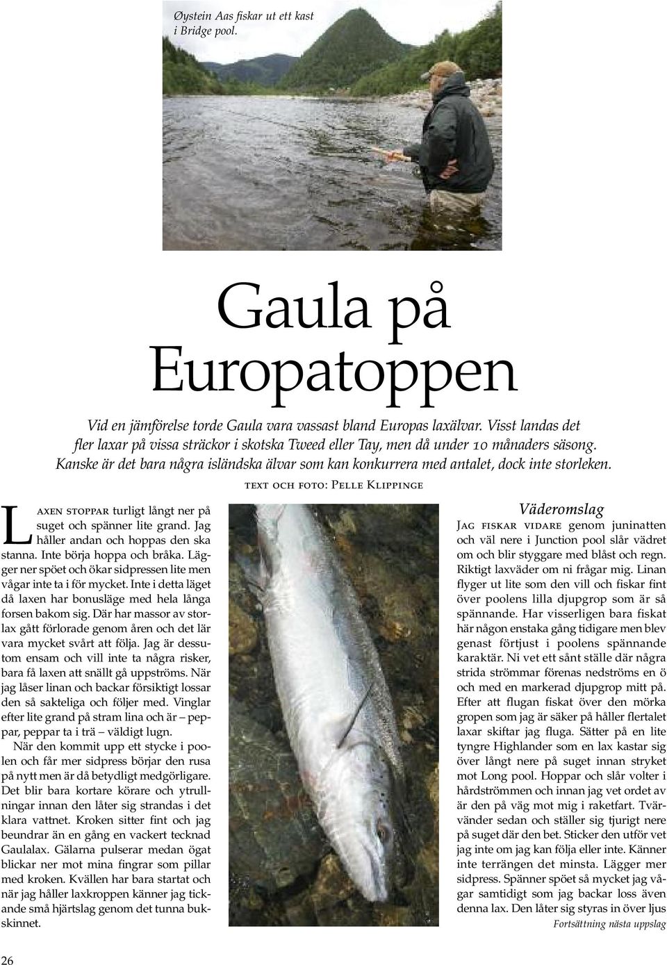 Laxen stoppar turligt långt ner på suget och spänner lite grand. Jag håller andan och hoppas den ska stanna. Inte börja hoppa och bråka.