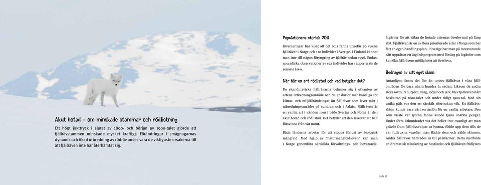 Populationens storlek 2011 Inventeringar har visat att det 2011 fanns ungefär 80 vuxna fjällrävar i Norge och 120 individer i Sverige.