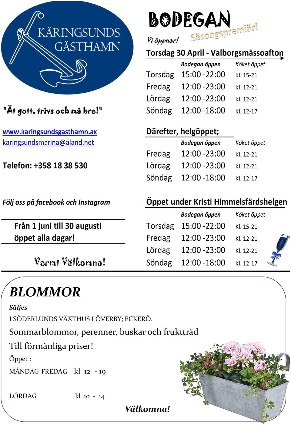 Sommarblommor, perenner, buskar och