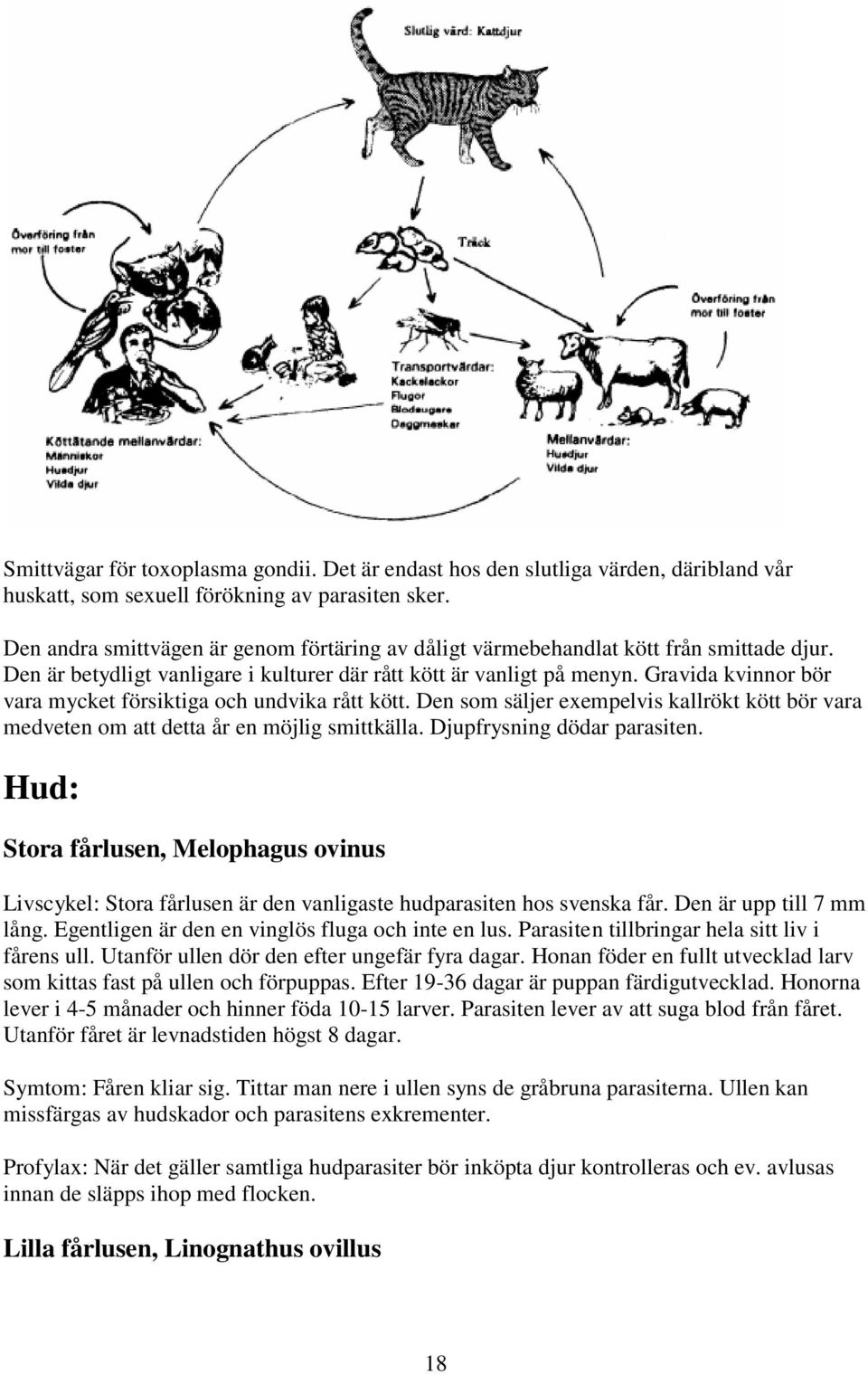 Gravida kvinnor bör vara mycket försiktiga och undvika rått kött. Den som säljer exempelvis kallrökt kött bör vara medveten om att detta år en möjlig smittkälla. Djupfrysning dödar parasiten.