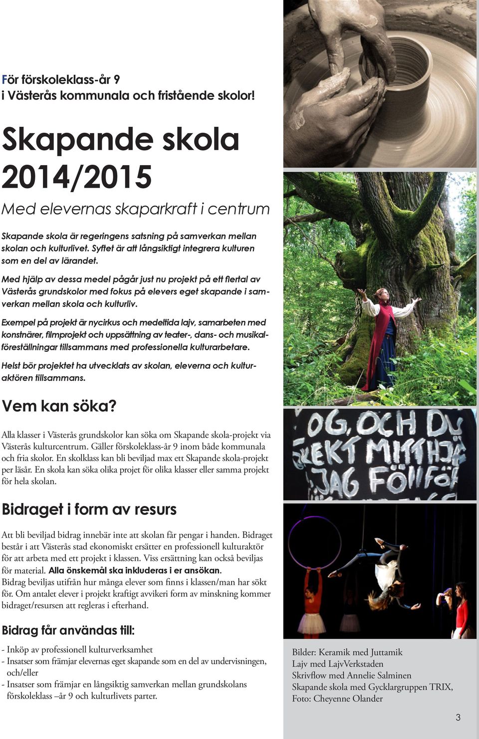 Syftet är att långsiktigt integrera kulturen som en del av lärandet.