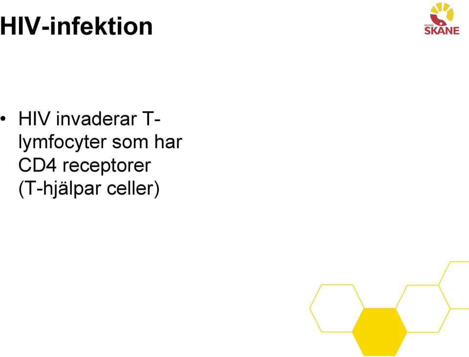 lymfocyter som har