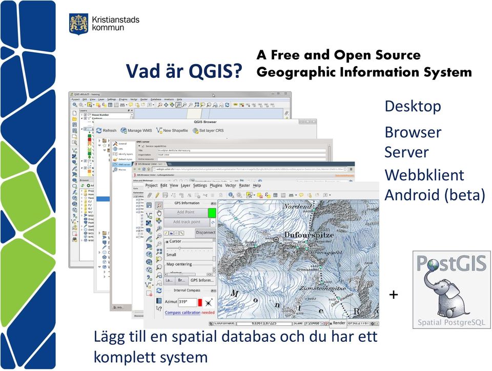 Information System Desktop Browser Server