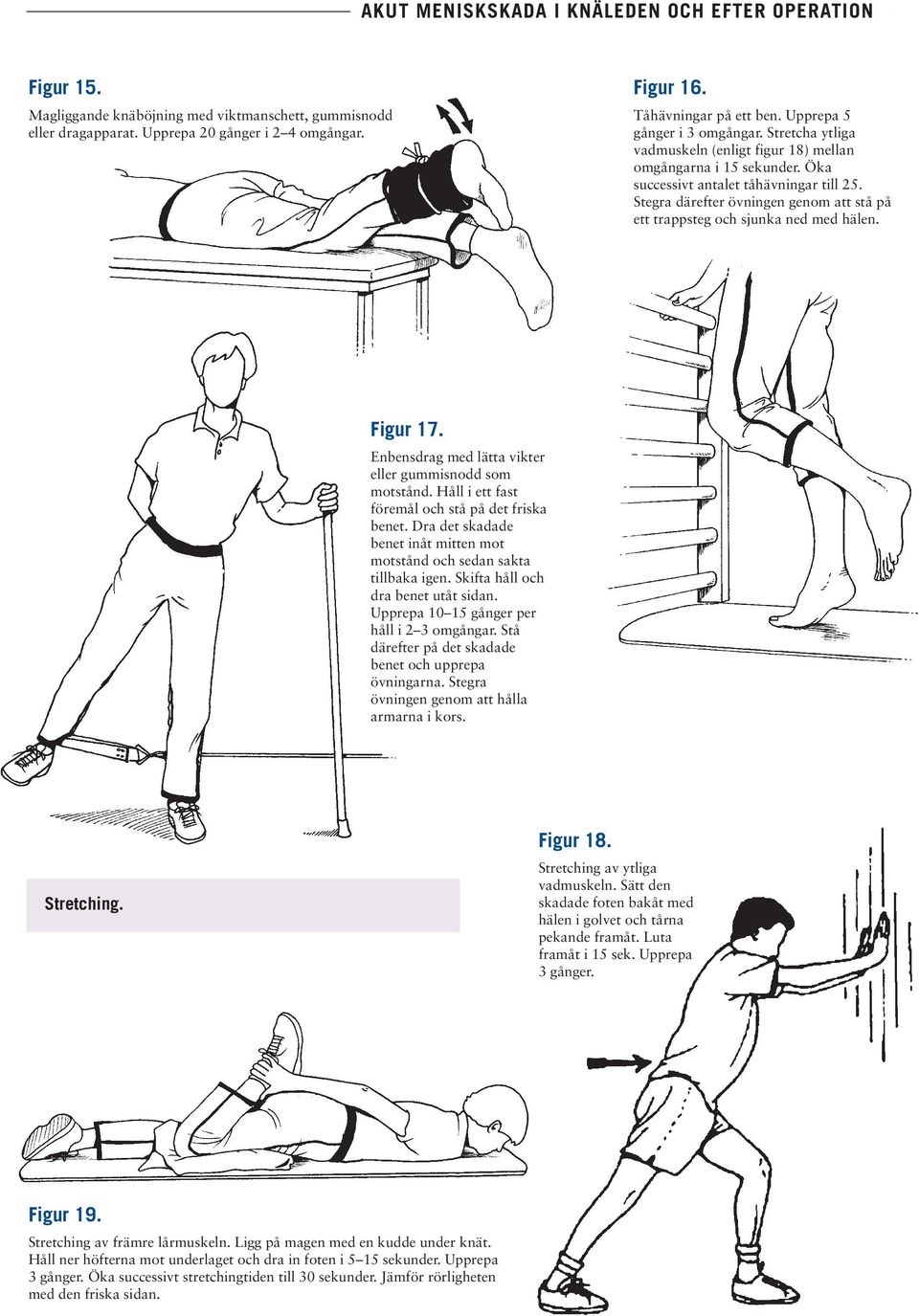 Stegra därefter övningen genom att stå på ett trappsteg och sjunka ned med hälen. Figur 17. Enbensdrag med lätta vikter eller gummisnodd som motstånd.
