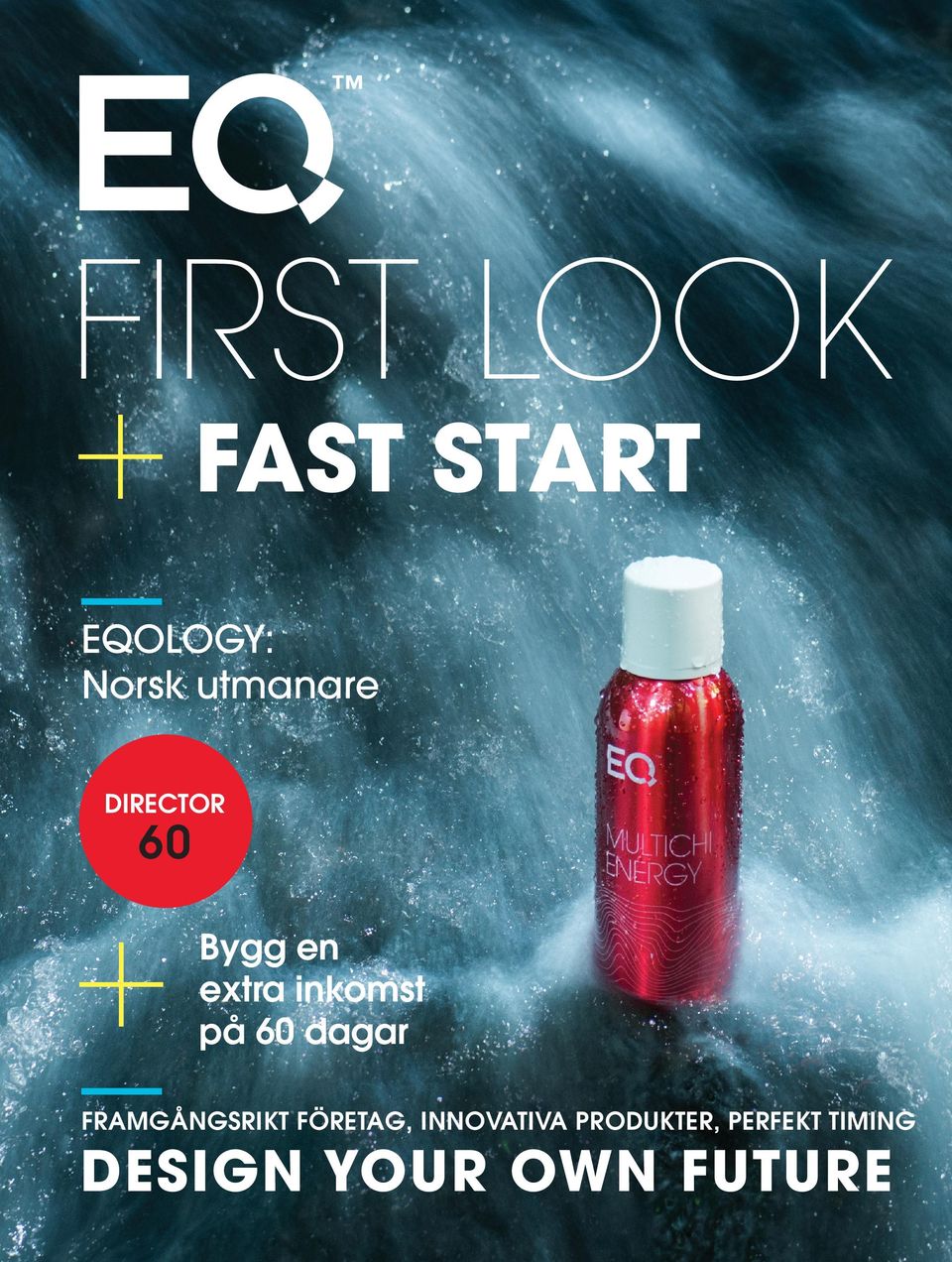 på 60 dagar FRAMGÅNGSRIKT FÖRETAG,