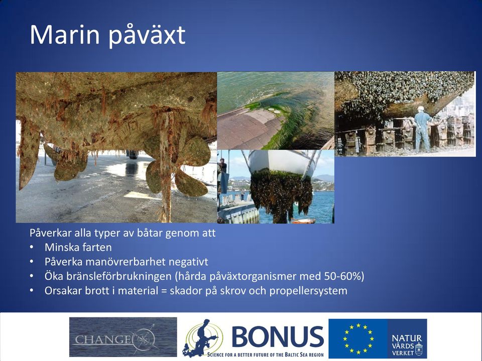 bränsleförbrukningen (hårda påväxtorganismer med
