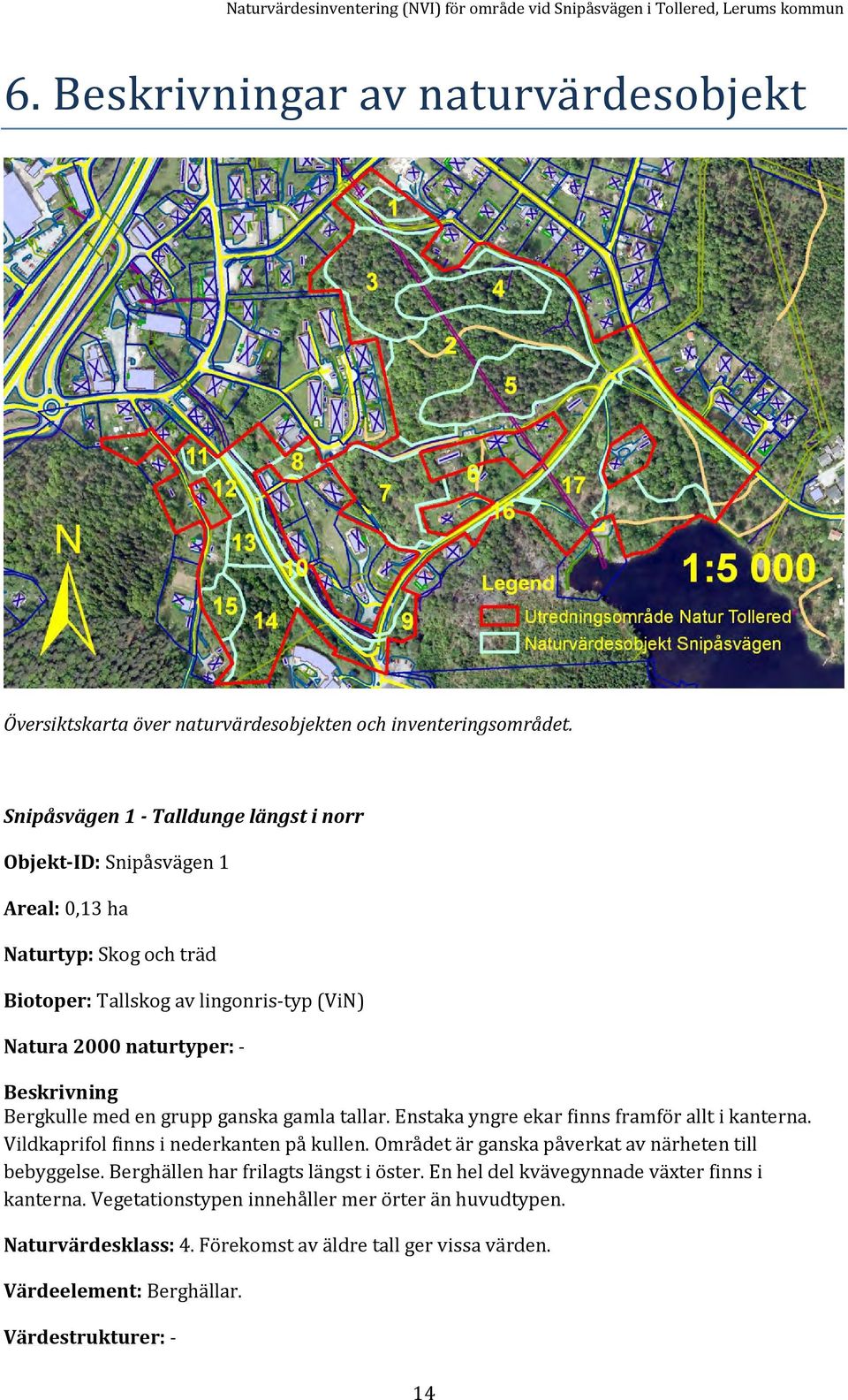 en grupp ganska gamla tallar. Enstaka yngre ekar finns framför allt i kanterna. Vildkaprifol finns i nederkanten på kullen. Området är ganska påverkat av närheten till bebyggelse.
