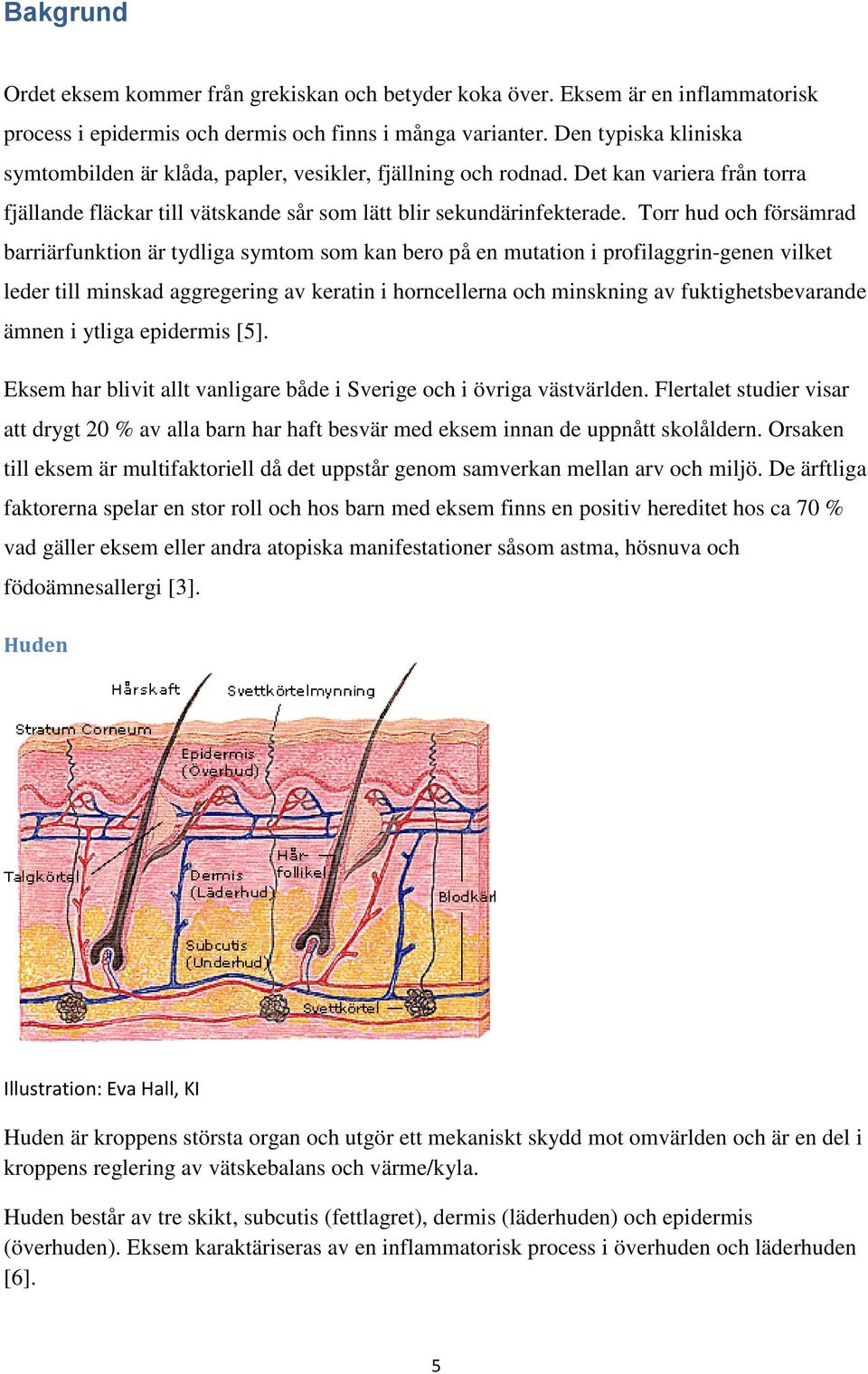 Torr hud och försämrad barriärfunktion är tydliga symtom som kan bero på en mutation i profilaggrin-genen vilket leder till minskad aggregering av keratin i horncellerna och minskning av