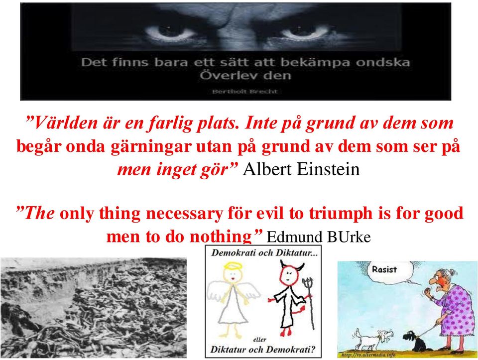 grund av dem som ser på men inget gör Albert Einstein