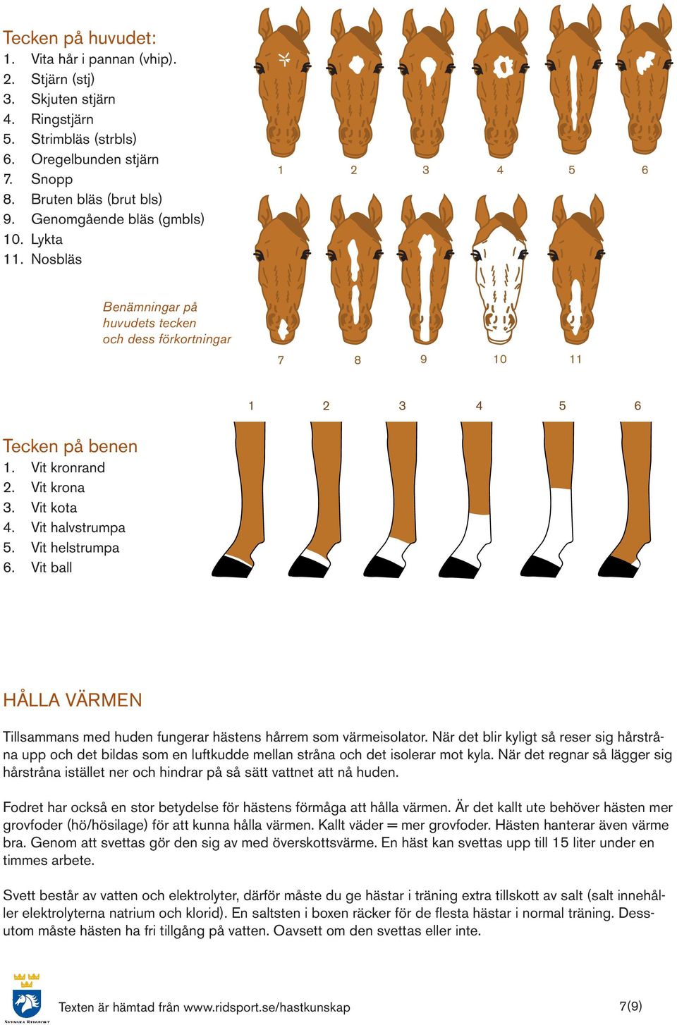 Vit halvstrumpa 5. Vit helstrumpa 6. Vit ball HÅLLA VÄRMEN Tillsammans med huden fungerar hästens hårrem som värmeisolator.