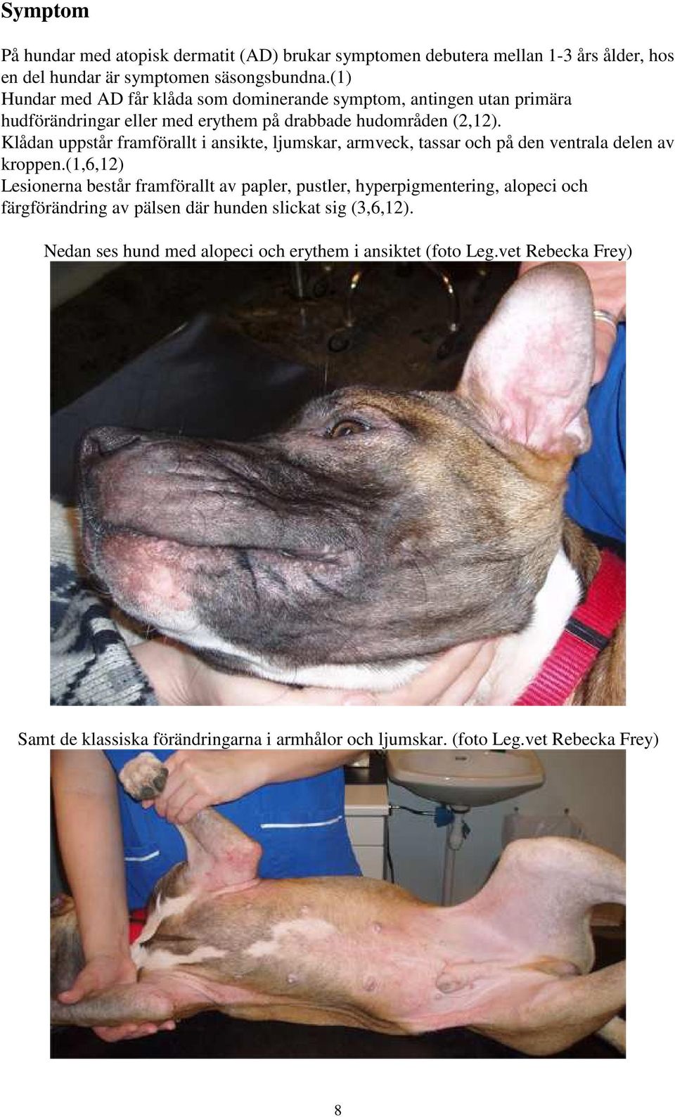 Atopisk dermatit hos hund - PDF Gratis nedladdning