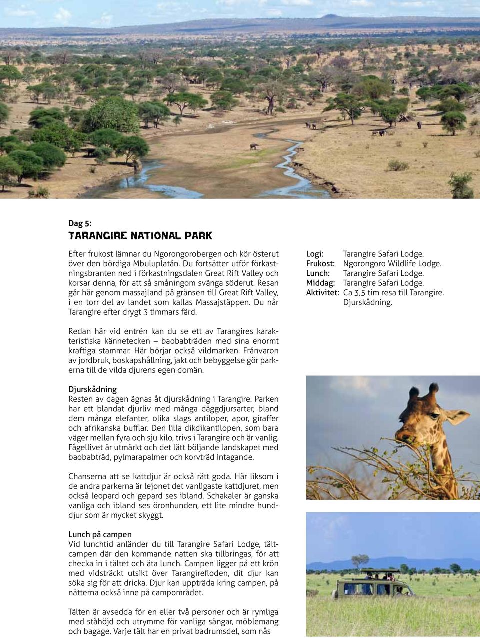 Resan går här genom massajland på gränsen till Great Rift Valley, i en torr del av landet som kallas Massajstäppen. Du når Tarangire efter drygt 3 timmars färd. Logi: Tarangire Safari Lodge.