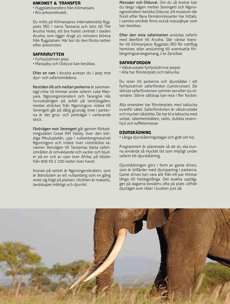 Här bor du den första natten efter ankomsten. Safarirutten Fyrhjulsdriven jeep. Massajby och Olduvai kan besökas. Efter en natt i Arusha avreser du i jeep mot djur- och safariområdena.