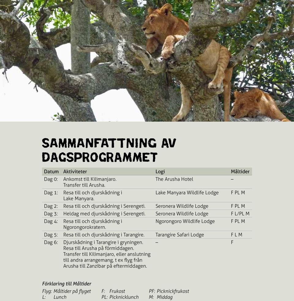 Seronera Wildlife Lodge F PL M Dag 3: Heldag med djurskådning i Serengeti. Seronera Wildlife Lodge F L/PL M Dag 4: Resa till och djurskådning i Ngorongoro Wildlife Lodge F PL M Ngorongorokratern.