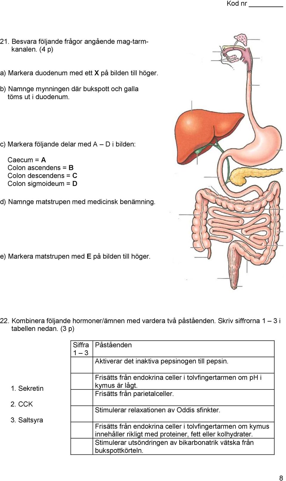 e) Markera matstrupen med E på bilden till höger. 22. Kombinera följande hormoner/ämnen med vardera två påståenden. Skriv siffrorna 1 3 i tabellen nedan.