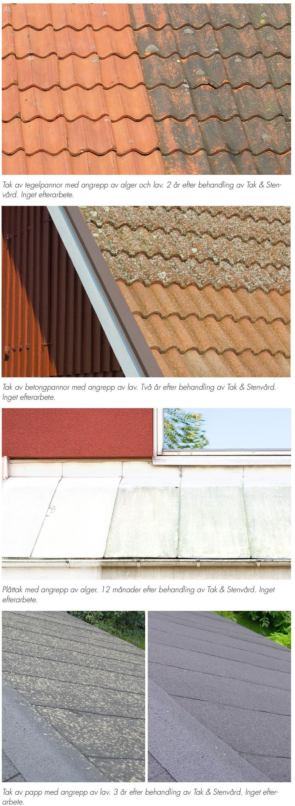 Två år efter behandling av Tak & Stenvård. Inget efterarbete. Plåttak med angrepp av alger.