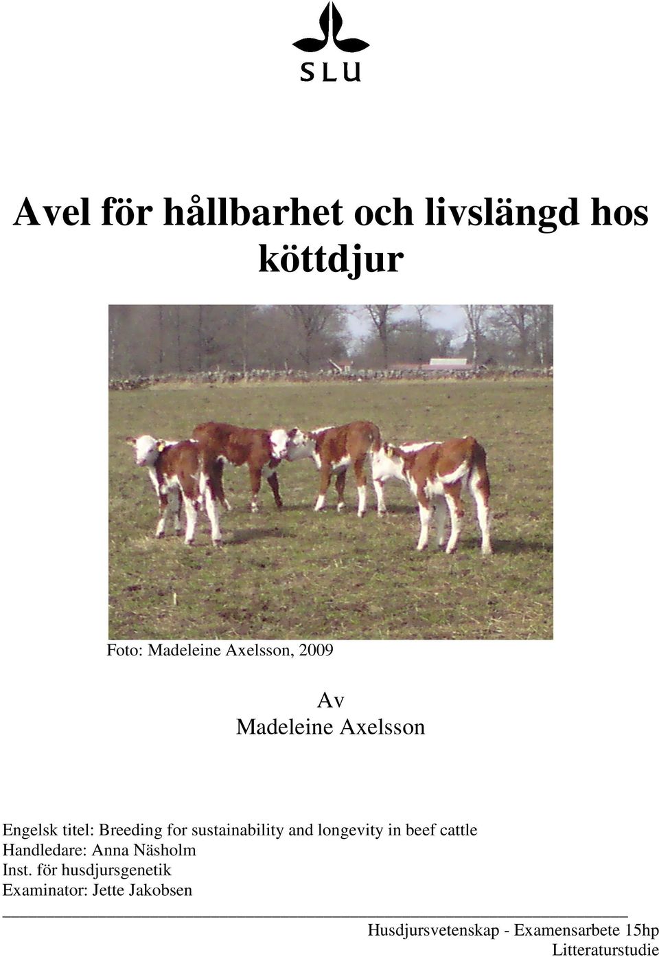 longevity in beef cattle Handledare: Anna Näsholm Inst.