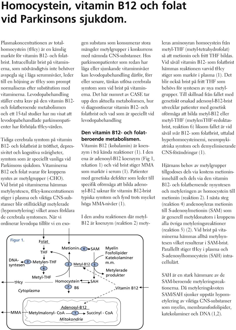 Levodopabehandling ställer extra krav på den vitamin B12- och folatberoende metabolismen och ett 15-tal studier har nu visat att levodopabehandlade parkinsonpatienter har förhöjda thcy-värden.