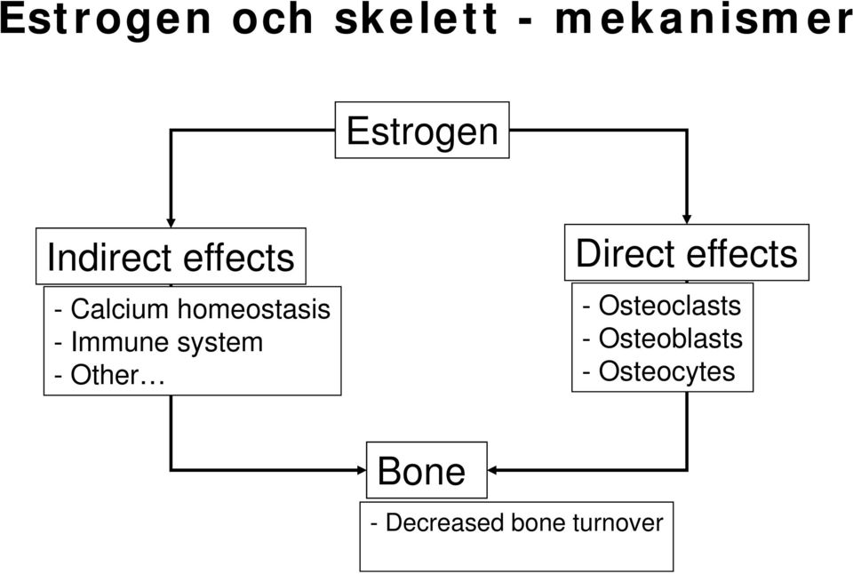 system - Other Direct effects - Osteoclasts -
