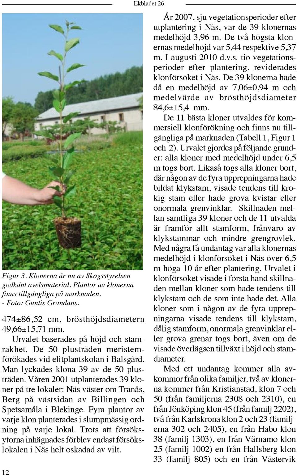 Våren 2001 utplanterades 39 kloner på tre lokaler: Näs väster om Tranås, Berg på västsidan av Billingen och Spetsamåla i Blekinge.