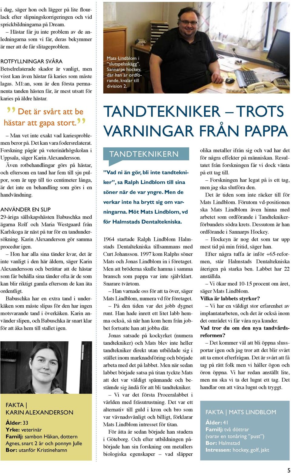 Rotfyllningar svåra Betselrelaterade skador är vanligt, men visst kan även hästar få karies som måste lagas.