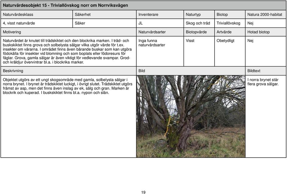 I området finns även bärande buskar som kan utgöra födokälla för insekter vid blomning och som boplats eller födoresurs för fåglar. Grova, gamla sälgar är även viktigt för vedlevande svampar.