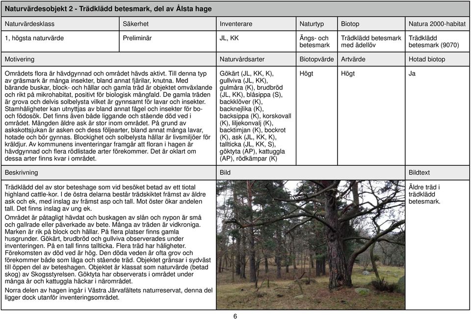 Med bärande buskar, block- och hällar och gamla träd är objektet omväxlande och rikt på mikrohabitat, positivt för biologisk mångfald.