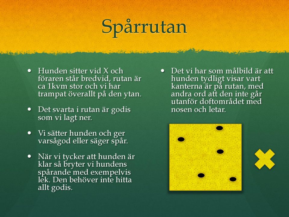 Det vi har som målbild är att hunden tydligt visar vart kanterna är på rutan, med andra ord att den inte går utanför