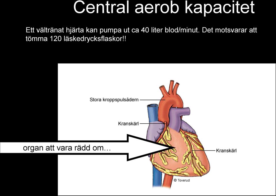 blod/minut.