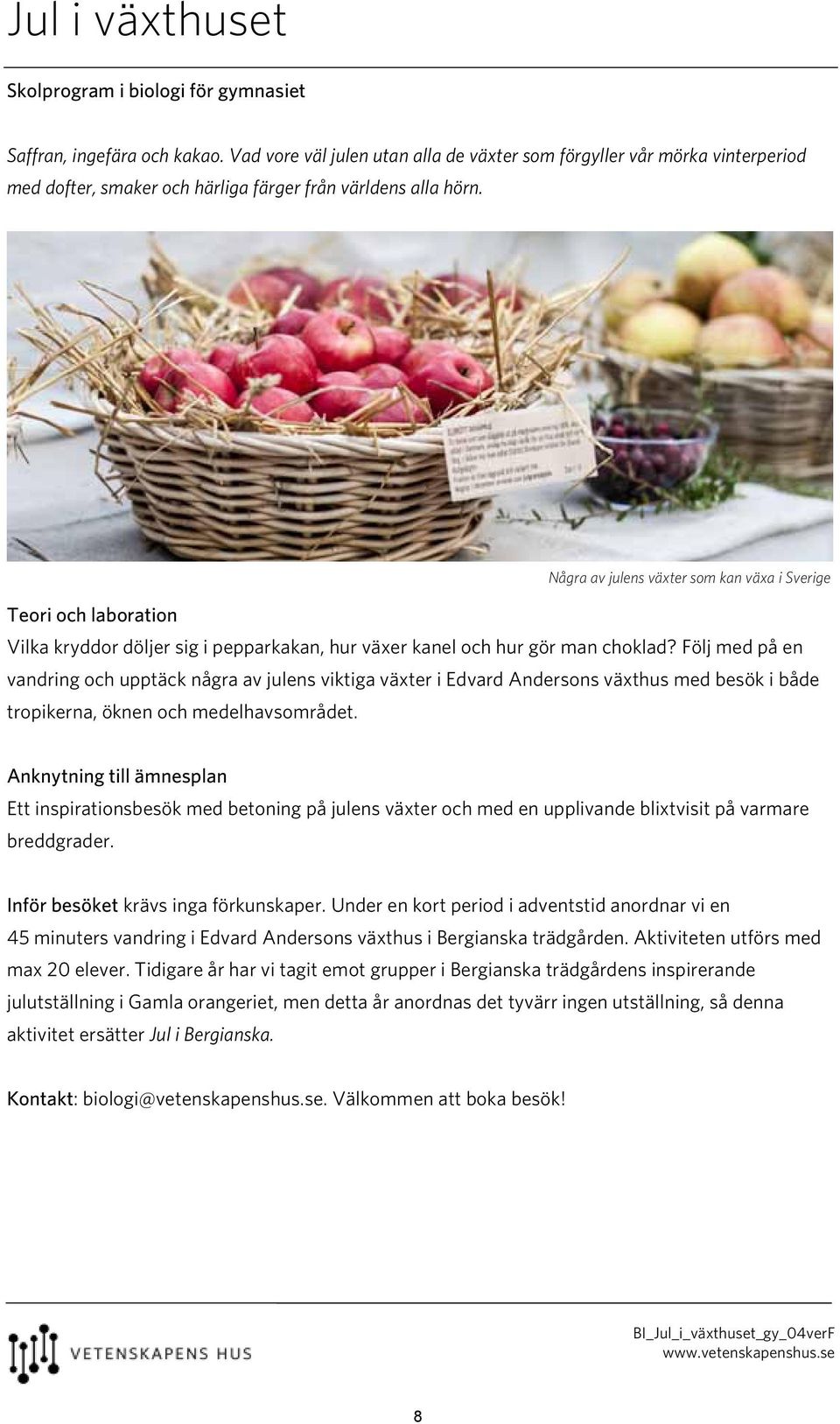 Några av julens växter som kan växa i Sverige Vilka kryddor döljer sig i pepparkakan, hur växer kanel och hur gör man choklad?