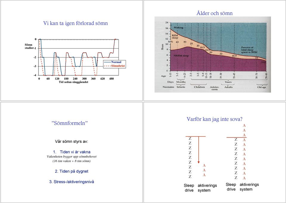 Tiden vi är vakna Vakenheten bygger upp sömnbehovet (16 tim vaken + 8 tim sömn) 2.