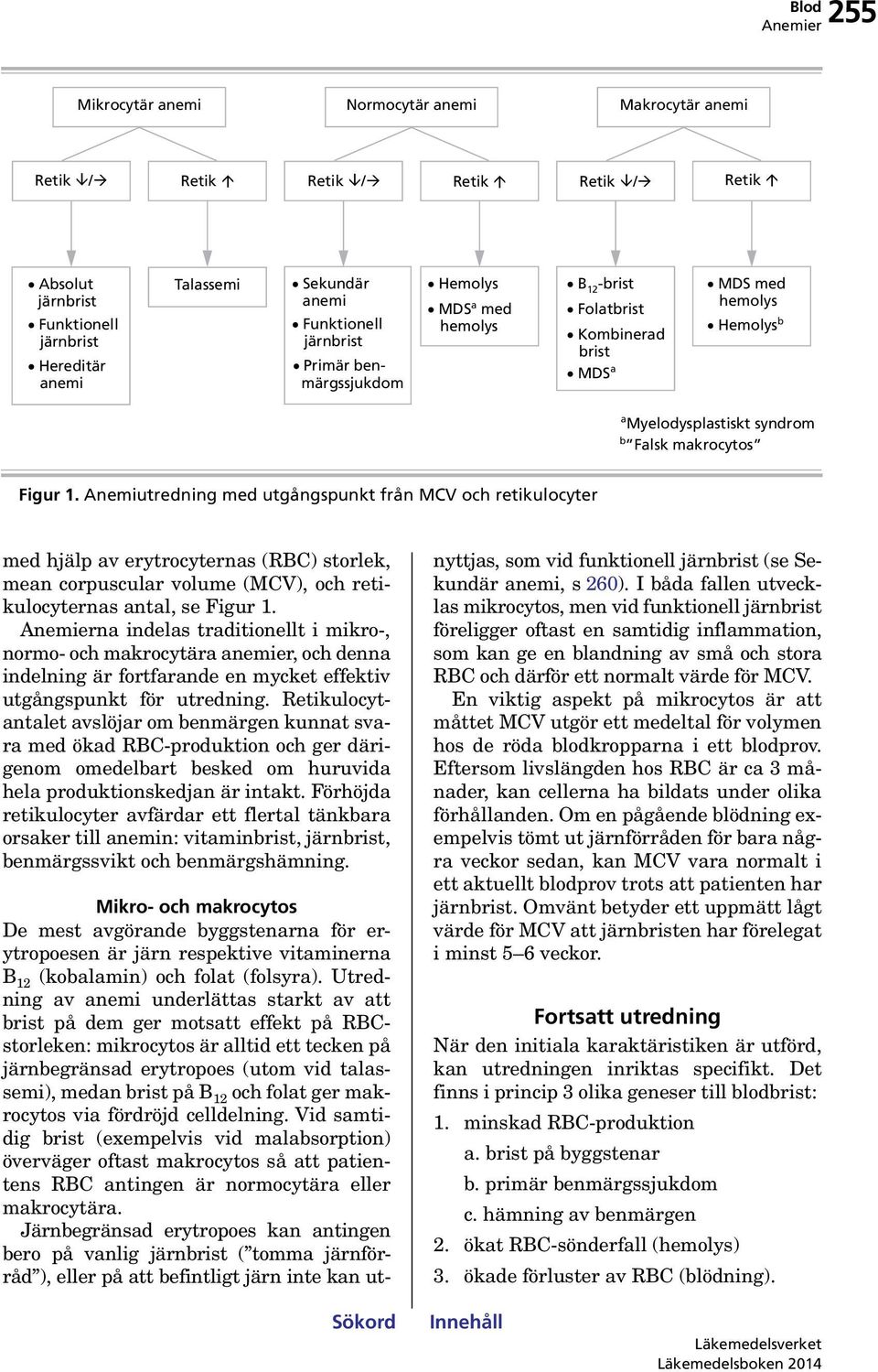 Anemiutredning med utgångspunkt från MCV och retikulocyter med hjälp av erytrocyternas (RBC) storlek, mean corpuscular volume (MCV), och retikulocyternas antal, se Figur 1.