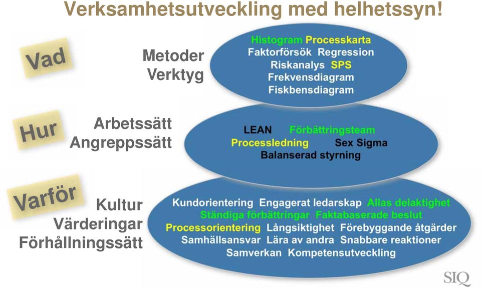 Fiskbensdiagram LEAN Förbättringsteam Processledning Sex Sigma Balanserad styrning Kultur Värderingar Förhållningssätt Varför