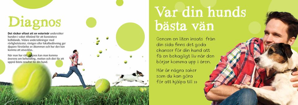 När man har rätt diagnos kan man komma överens om behandling, motion och diet för att uppnå bästa resultat för din hund.