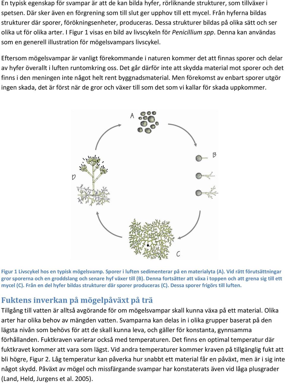 I Figur 1 visas en bild av livscykeln för Penicillium spp. Denna kan användas som en generell illustration för mögelsvampars livscykel.