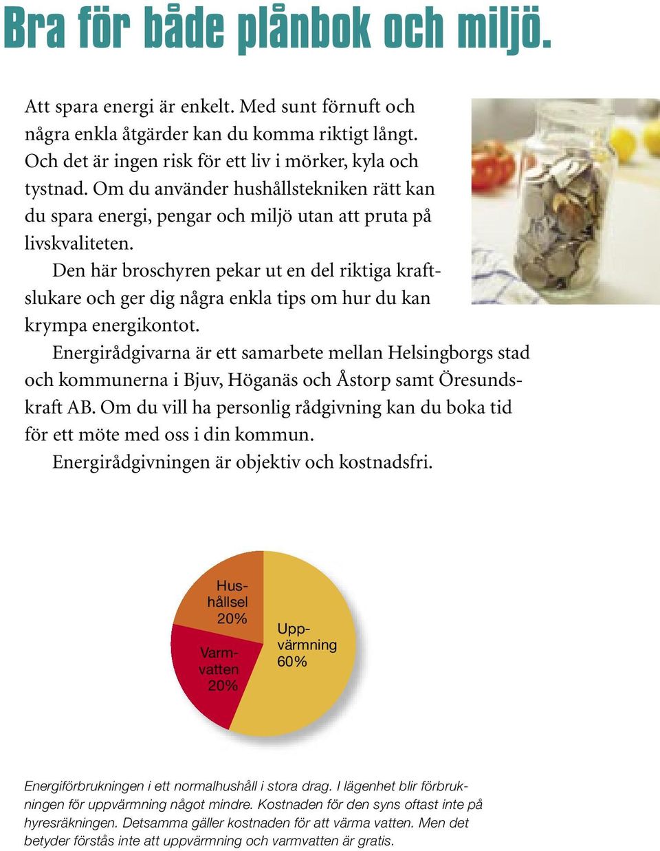 Den här broschyren pekar ut en del riktiga kraftslukare och ger dig några enkla tips om hur du kan krympa energikontot.