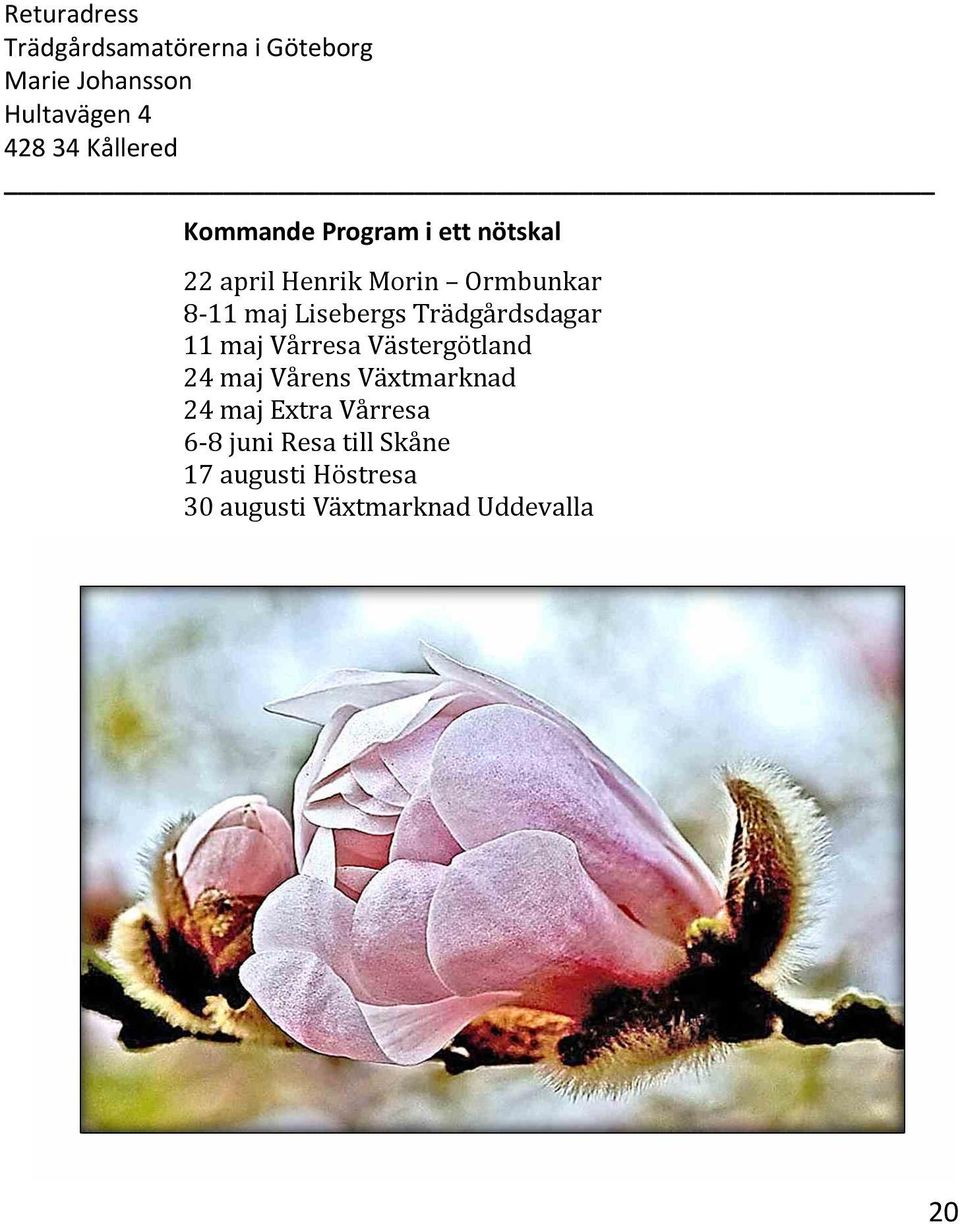 Lisebergs Trädgårdsdagar 11 maj Vårresa Västergötland 24 maj Vårens Växtmarknad 24