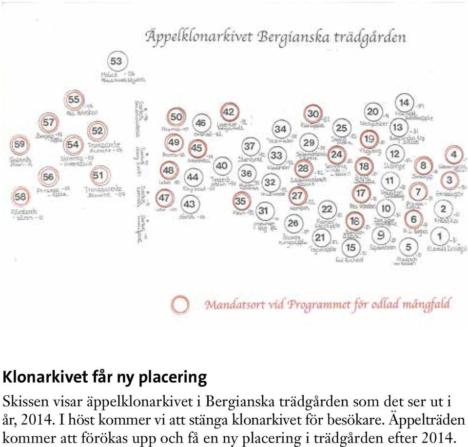 I höst kommer vi att stänga klonarkivet för besökare.