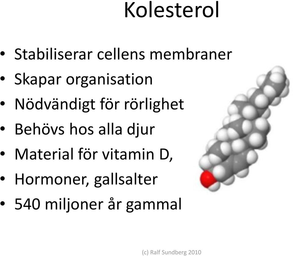 alla djur Material för vitamin D, Hormoner,