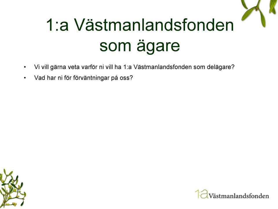 1:a Västmanlandsfonden som delägare?