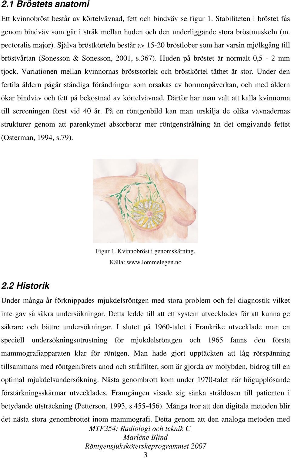 Själva bröstkörteln består av 15-20 bröstlober som har varsin mjölkgång till bröstvårtan (Sonesson & Sonesson, 2001, s.367). Huden på bröstet är normalt 0,5-2 mm tjock.