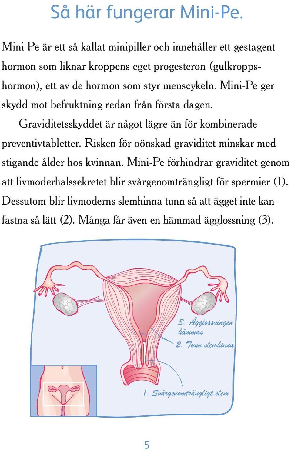 Mini-Pe ger skydd mot befruktning redan från första dagen. Graviditetsskyddet är något lägre än för kombinerade preventivtabletter.