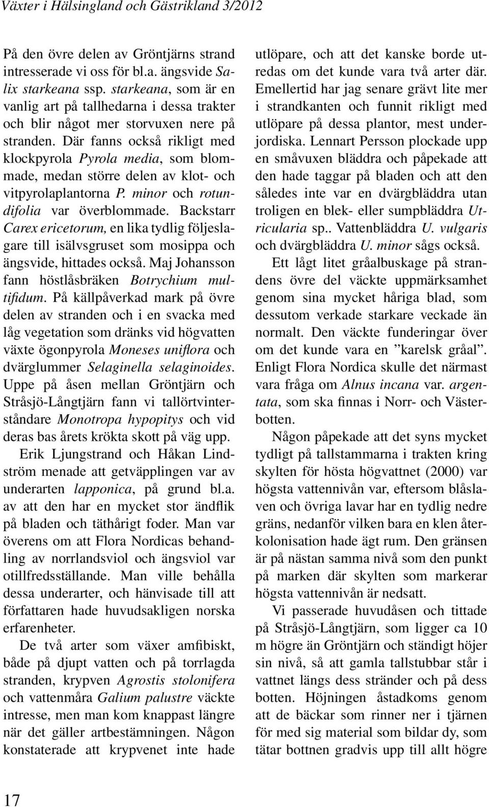 Där fanns också rikligt med klockpyrola Pyrola media, som blommade, medan större delen av klot- och vitpyrolaplantorna P. minor och rotundifolia var överblommade.