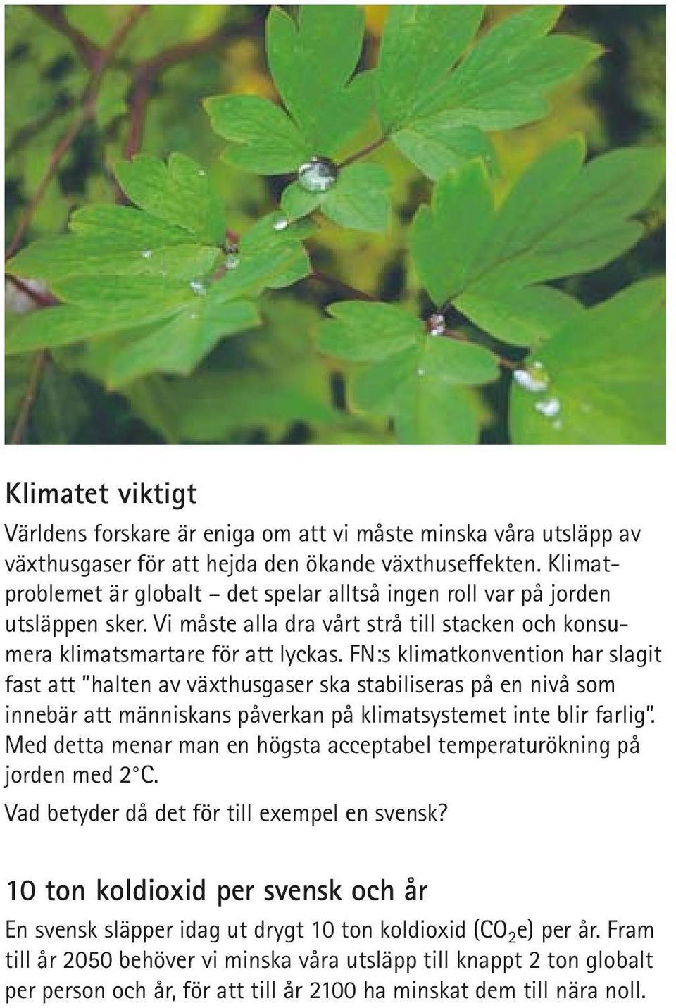 FN:s klimatkonvention har slagit fast att halten av växthusgaser ska stabiliseras på en nivå som innebär att människans påverkan på klimatsystemet inte blir farlig.