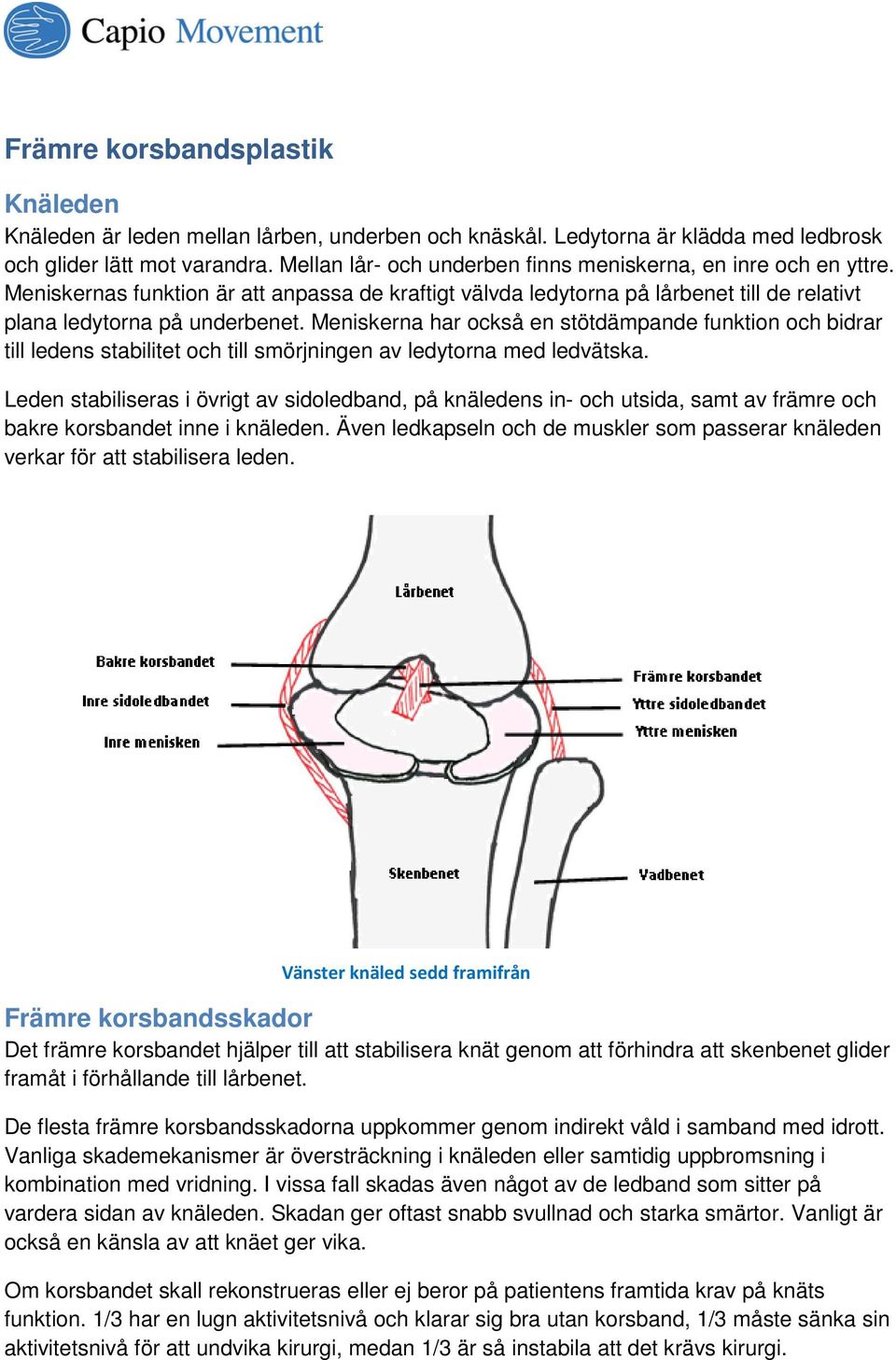 Meniskerna har också en stötdämpande funktion och bidrar till ledens stabilitet och till smörjningen av ledytorna med ledvätska.