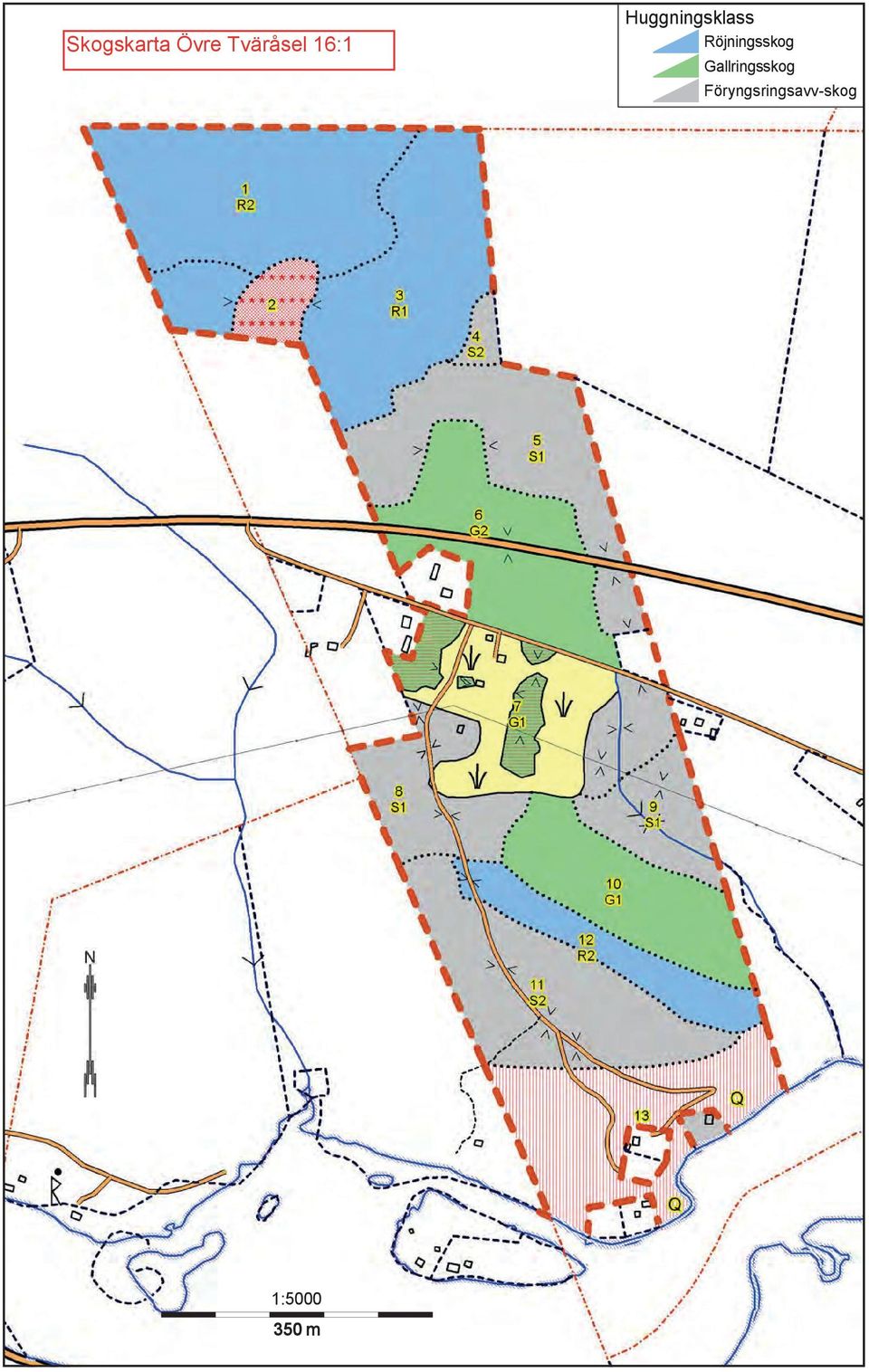 Röjningsskog Gallringsskog