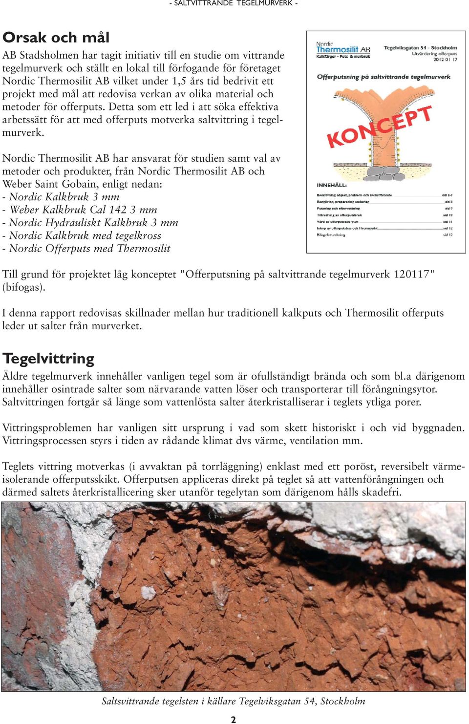 Detta som ett led i att söka effektiva arbetssätt för att med offerputs motverka saltvittring i tegelmurverk.