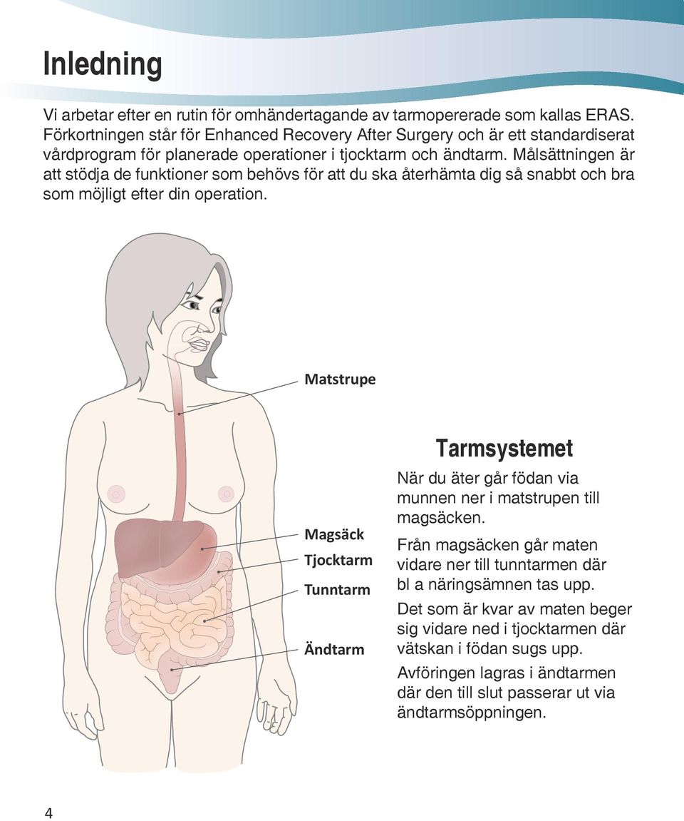 Målsättningen är att stödja de funktioner som behövs för att du ska återhämta dig så snabbt och bra som möjligt efter din operation.